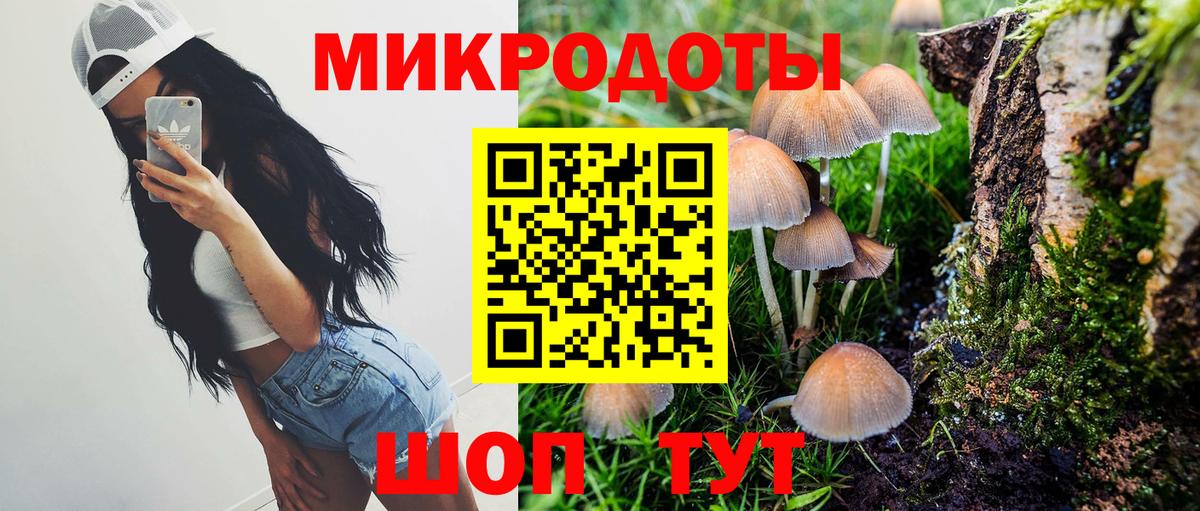 Галлюциногенные грибы Psilocybine cubensis Пенза