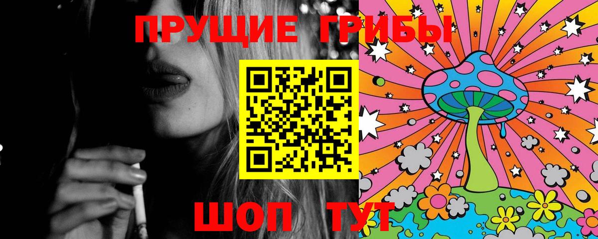 Пенза  Галлюциногенные грибы прущие грибы  Вход с VPN 